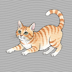 Animal Text Series-AT 3505